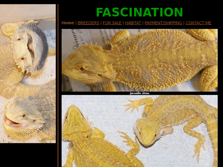 www.herpfascination.com