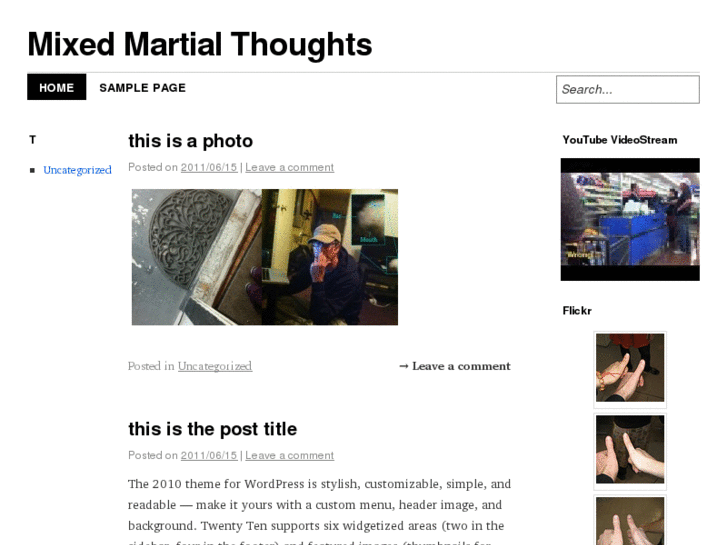 www.mixedmartialthoughts.com