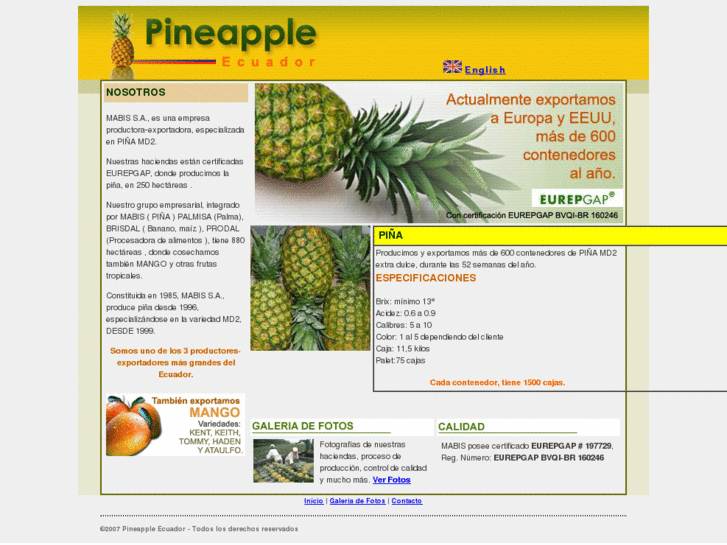 www.pineapple-ecuador.com