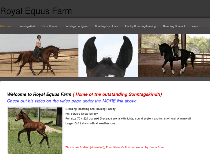 www.royalequusfarm.com