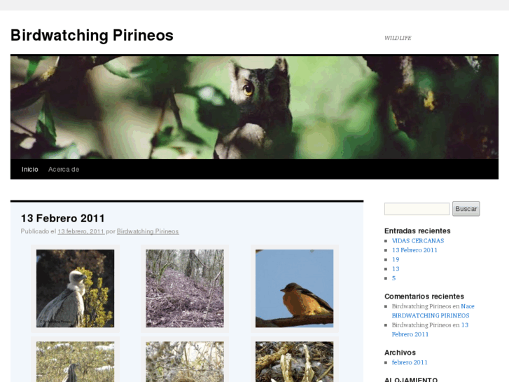 www.birdwatchingpirineos.com