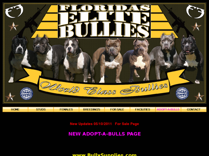 www.floridaselitebullies.com