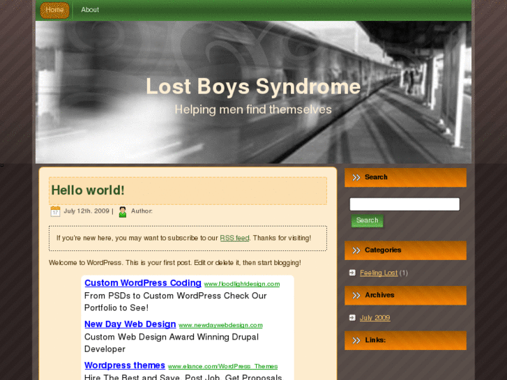 www.lostboyssyndrome.com