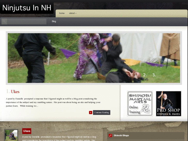 www.ninjutsu-in-nh.com