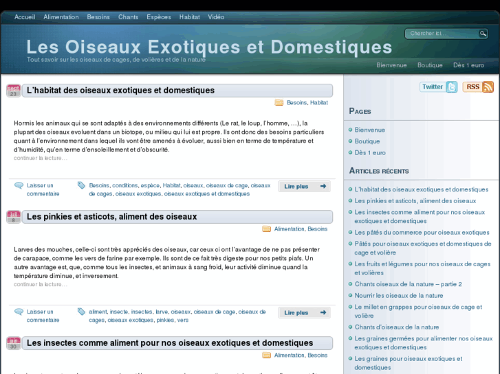 www.oiseau-exotique-domestique.com