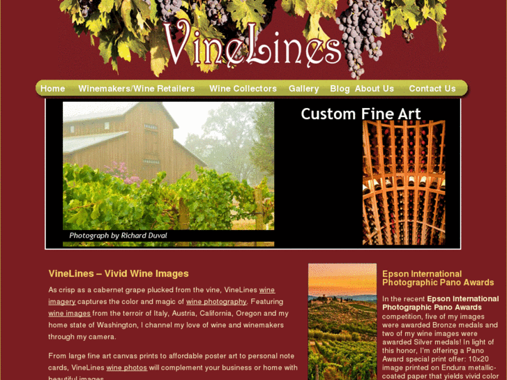 www.vinelines.com