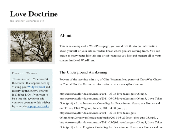 www.lovedoctrine.com