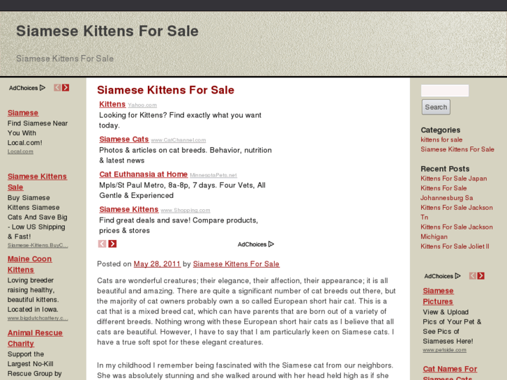 www.siamesekittensforsale.org