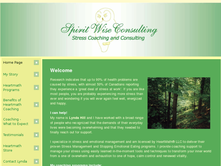 www.spiritwiseconsulting.com