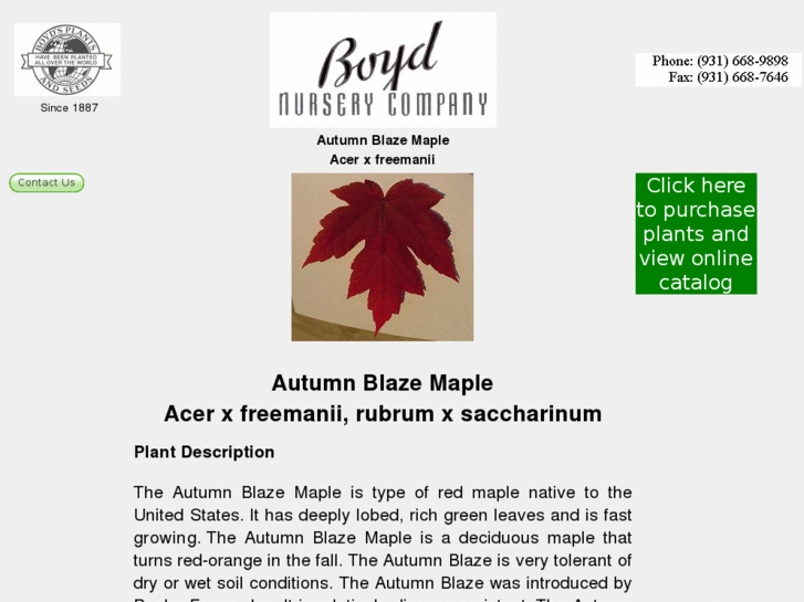 www.autumnblazemaple.net