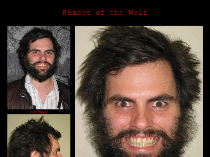 www.phasesofthewolf.com