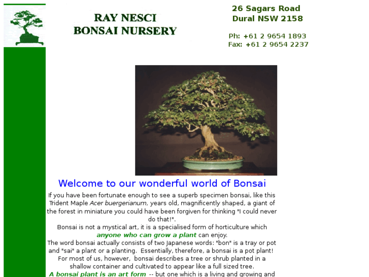 www.raynescibonsai.com