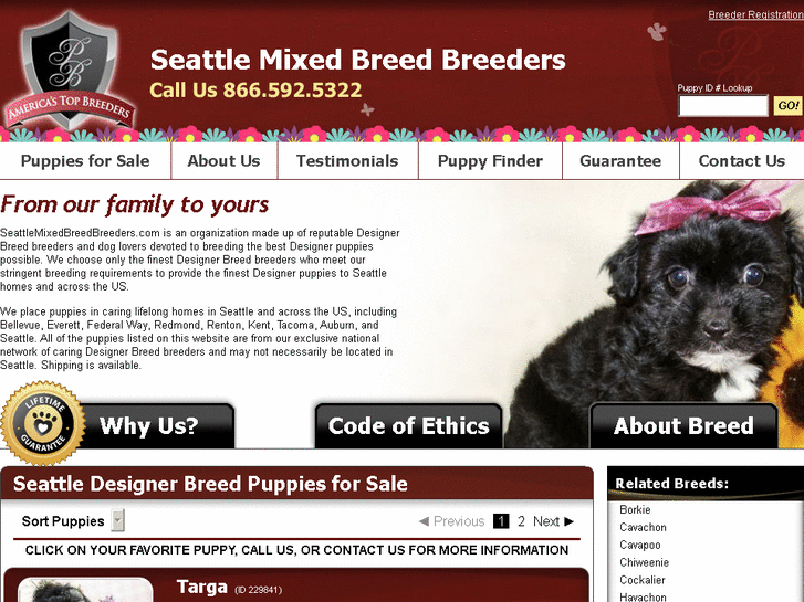 www.seattlemixedbreedbreeders.com