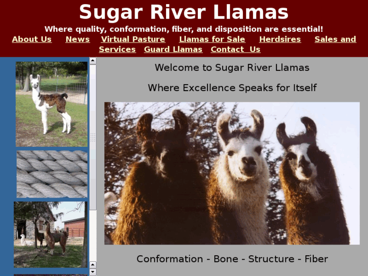 www.srllamas.com