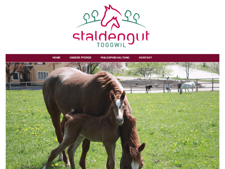 www.staldengut.com