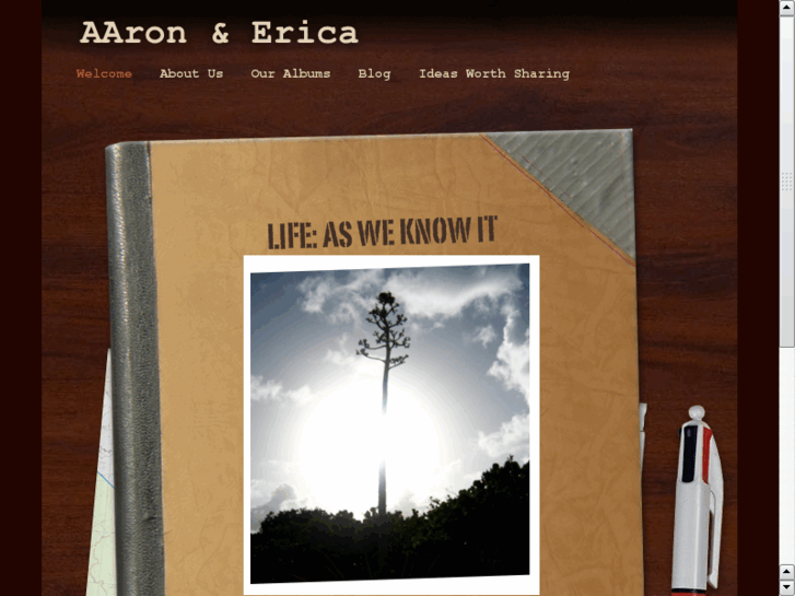 www.aaronanderica.com