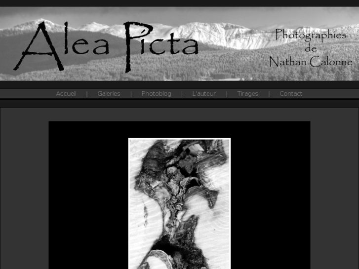 www.aleapicta-photographie.com