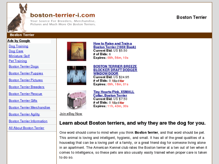 www.boston-terrier-i.com