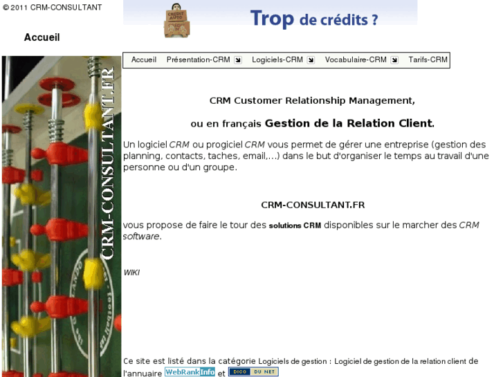www.crm-consultant.fr