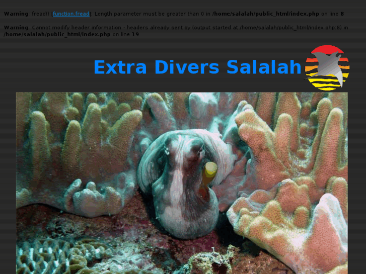 www.divesalalah.com