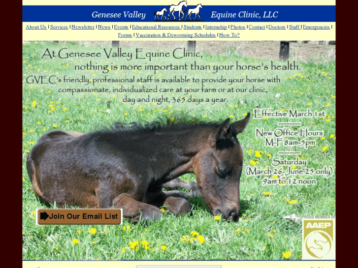 www.gvequine.com