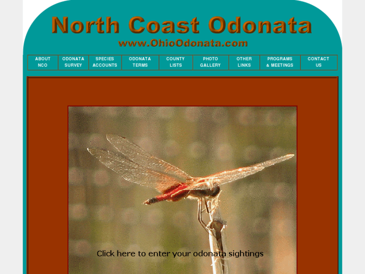 www.ohioodonata.com