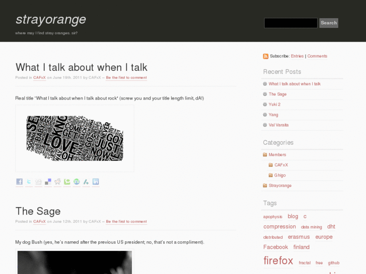 www.strayorange.com