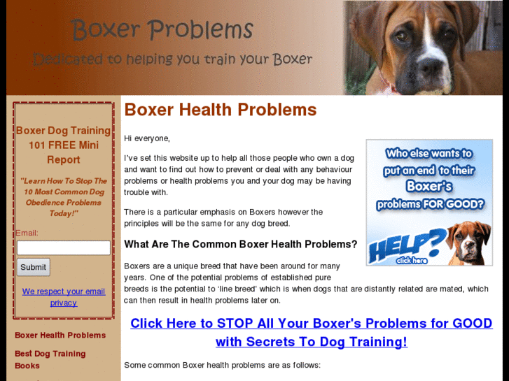 www.boxerdogtraining101.com