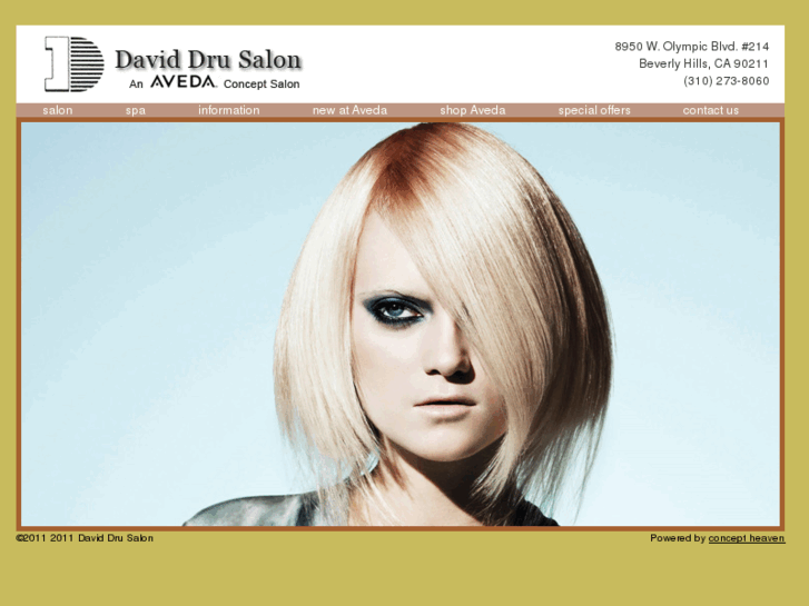 www.daviddrusalon.com