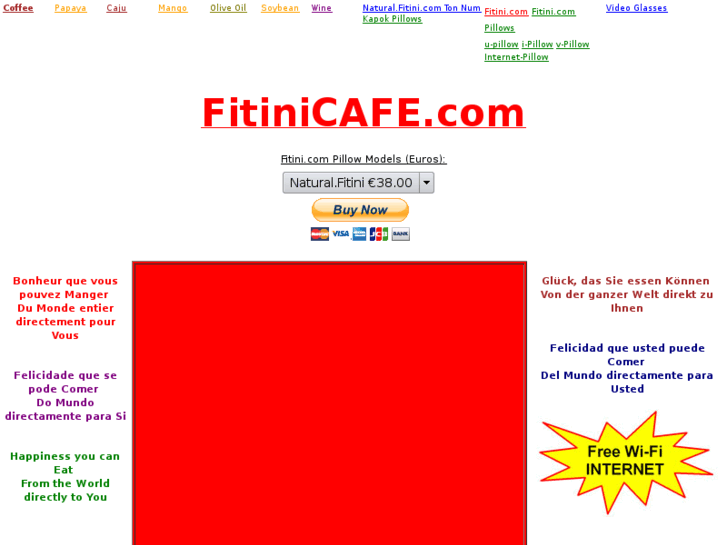 www.fitinicafe.net