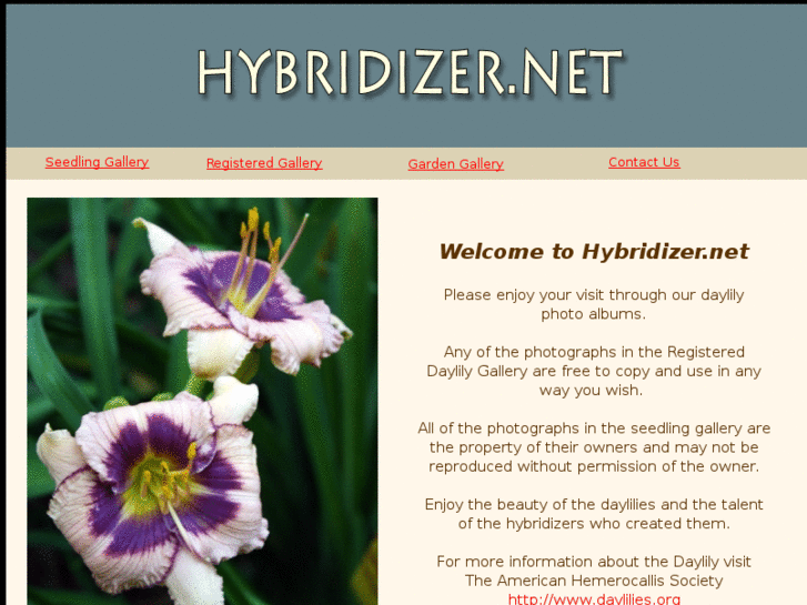 www.hybridizer.net