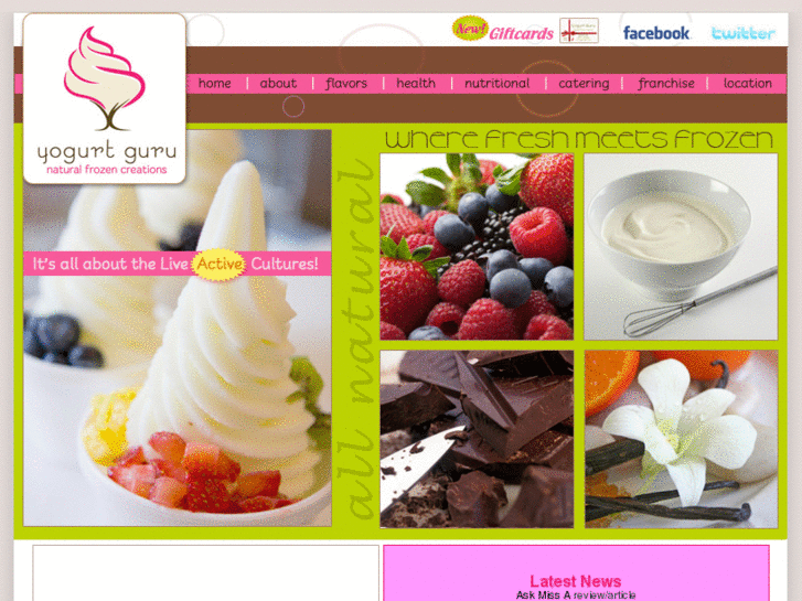 www.yogurt-guru.com