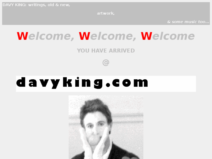 www.davyking.com