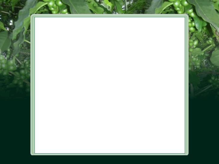 www.expojara.com