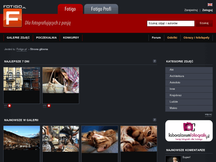 www.fotigo.pl