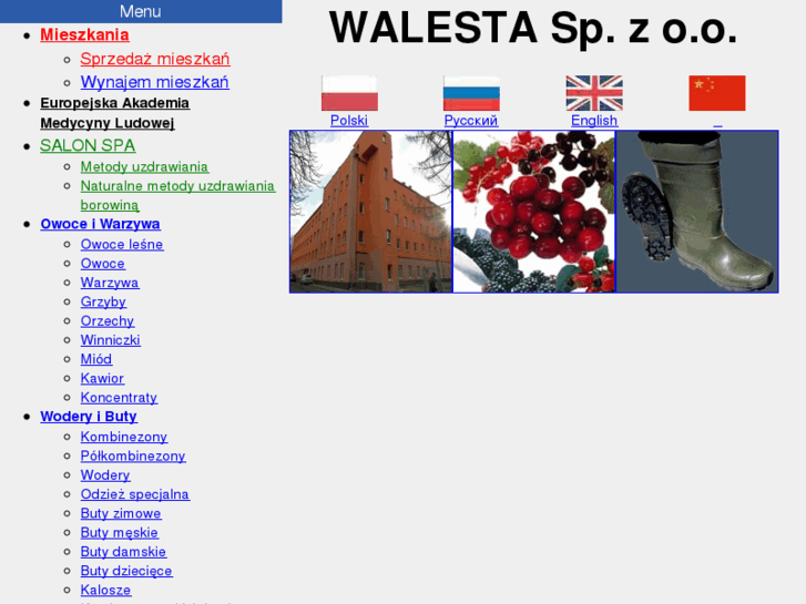 www.walesta.com