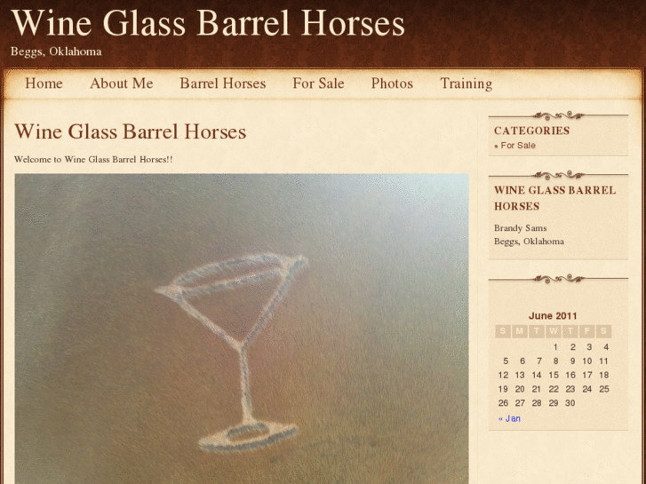 www.wineglassbarrelhorses.com