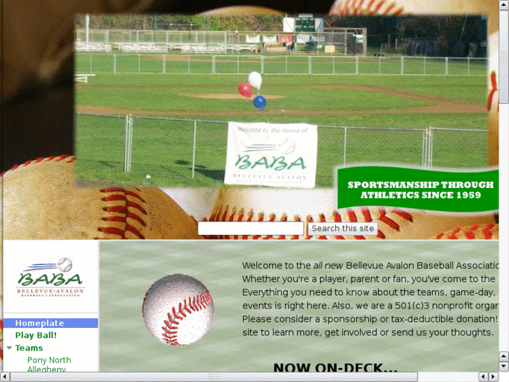 www.babaseball.org