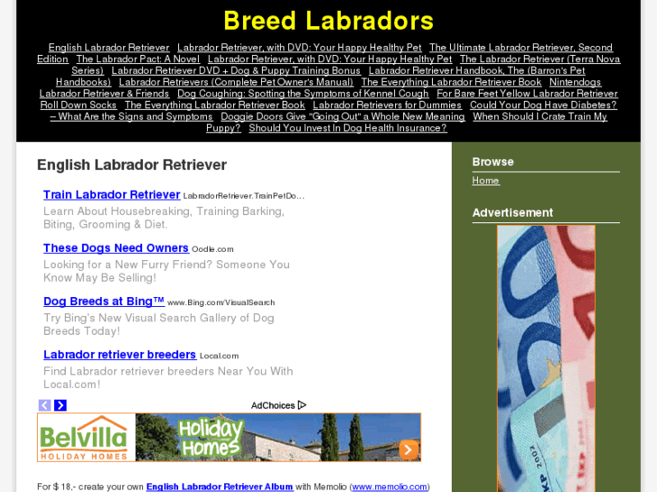 www.bestbreedlabrador.com