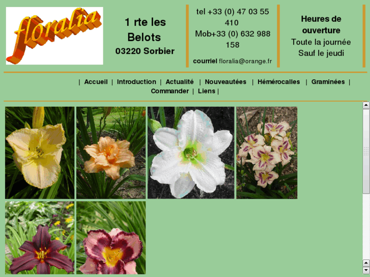 www.floralia-hemerocalle.com