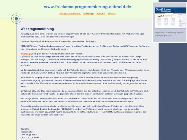 www.freelance-programmierung-detmold.de