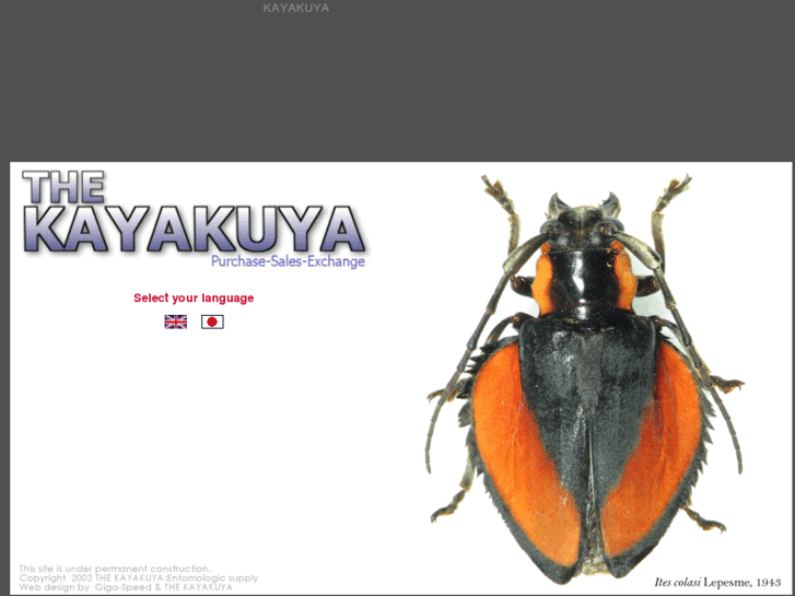 www.kayakuya.com