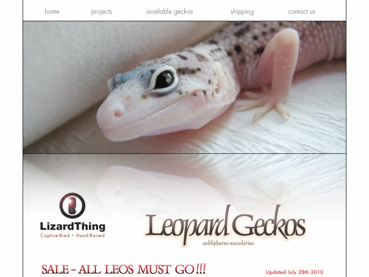 www.lizardthing.com