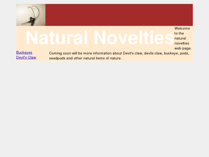 www.naturalnovelties.com