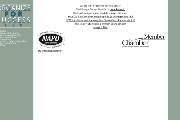 www.organizeforsuccess.biz
