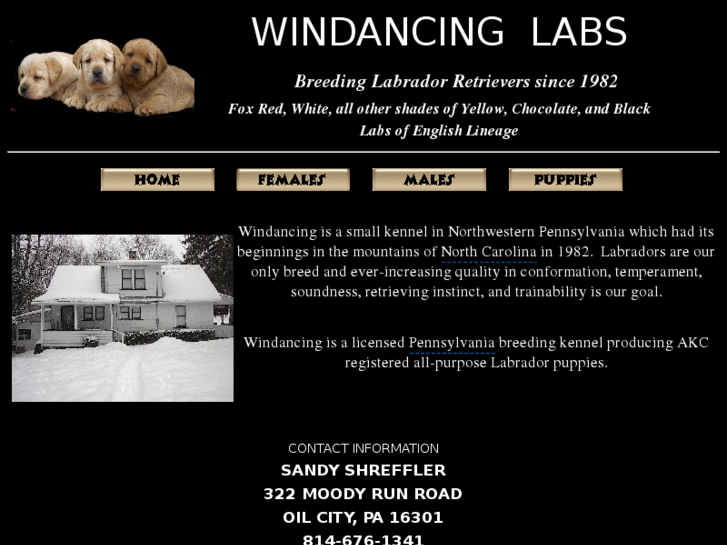 www.windancinglabs.com