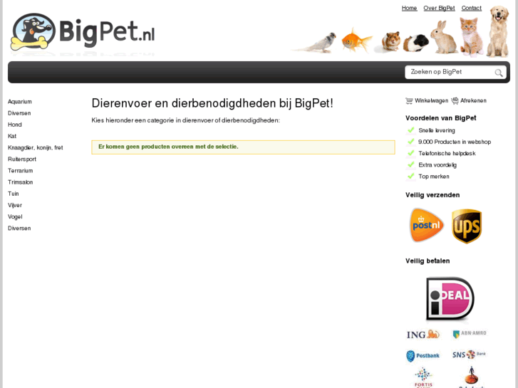 www.bigpet.nl