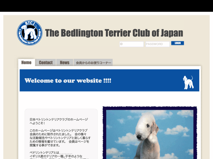 www.btcj.info