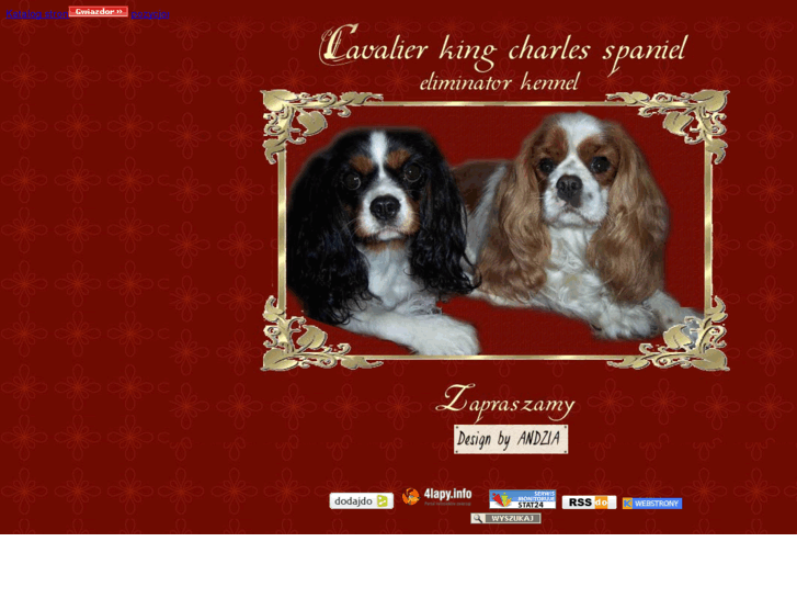 www.cavalierspaniel.net