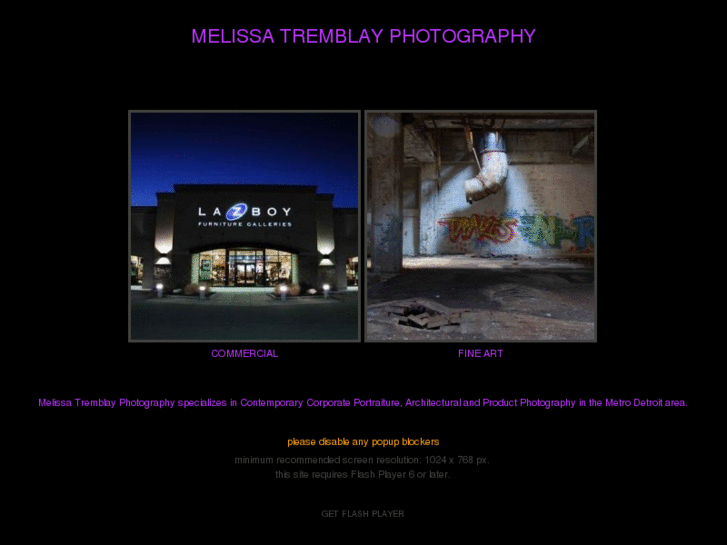 www.melissatremblay.com